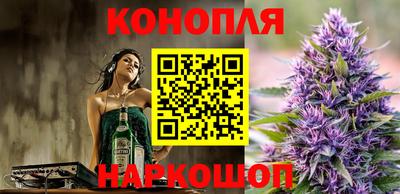 индика Абакан