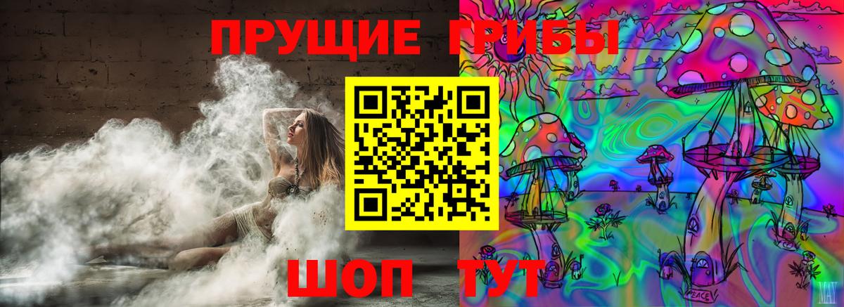 Псилоцибиновые грибы GOLDEN TEACHER  Вход с VPN  Артём 