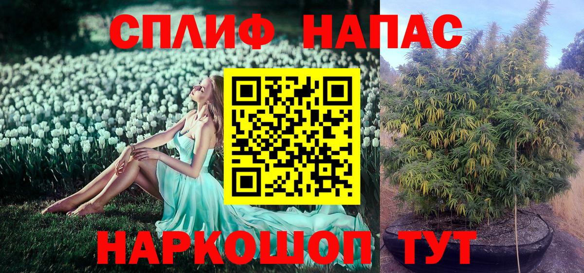 Артём  Шишки марихуана ГИДРОПОН  Бошки Шишки индика  Вход с VPN  Конопля White Widow 